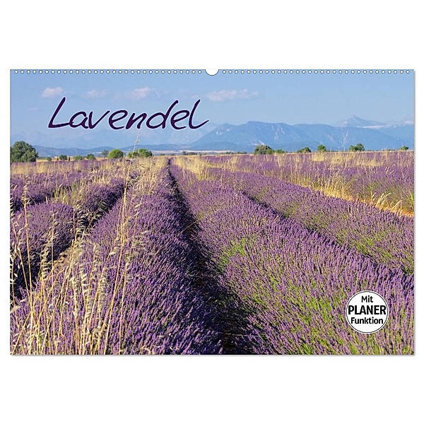 Lavendel (Wandkalender 2025 DIN A2 quer), CALVENDO Monatskalender, Calvendo, LianeM