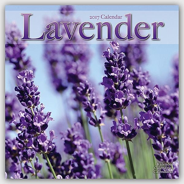 Lavender 2017, Avonside Publishing Ltd.