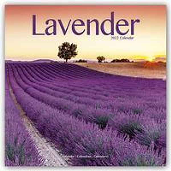 Lavender - Lavendel 2022, Avonside Publishing