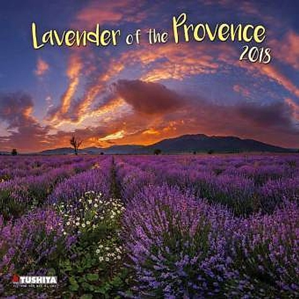 Lavender of the Provence 2018