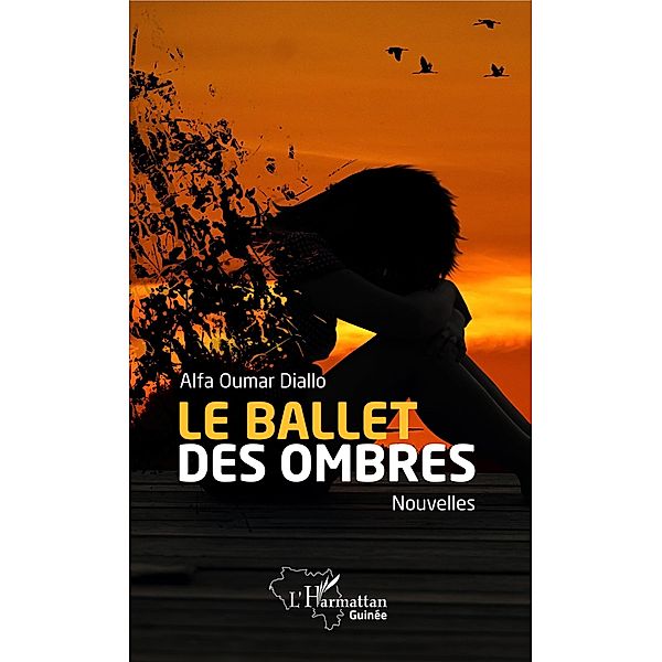 Le ballet des ombres, Diallo Alfa Oumar Diallo