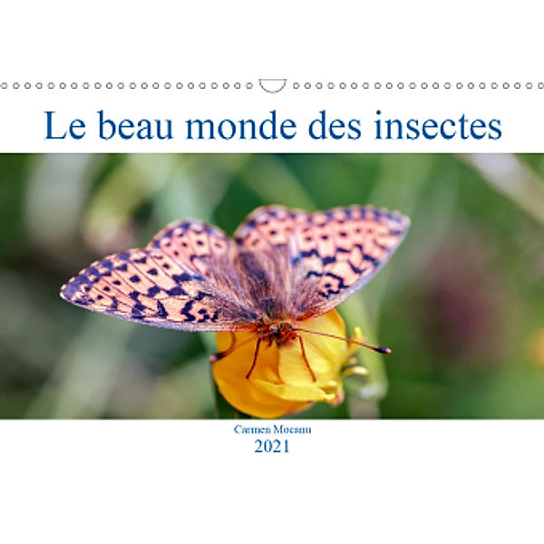 Le beau monde des insectes (Calendrier mural 2021 DIN A3 horizontal), Carmen Mocanu