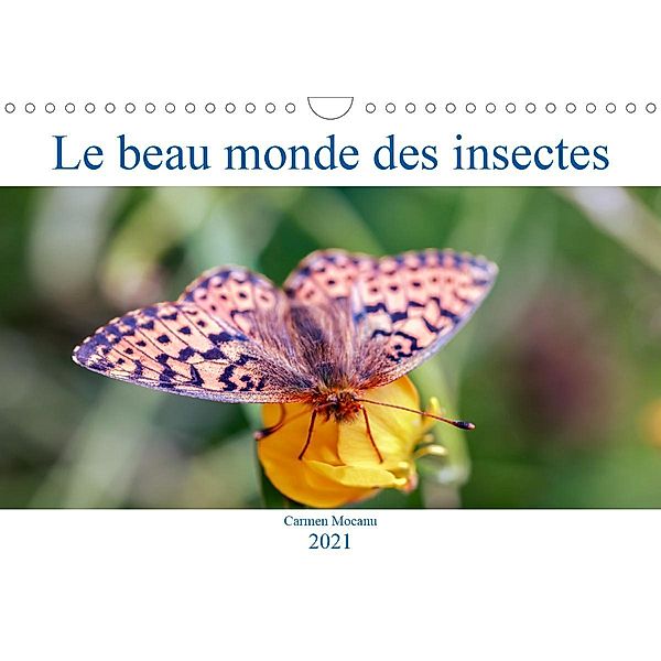 Le beau monde des insectes (Calendrier mural 2021 DIN A4 horizontal), Carmen Mocanu