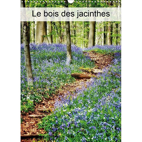 Le bois des Jacinthes (Calendrier mural 2021 DIN A3 vertical), Bombaert Patrick