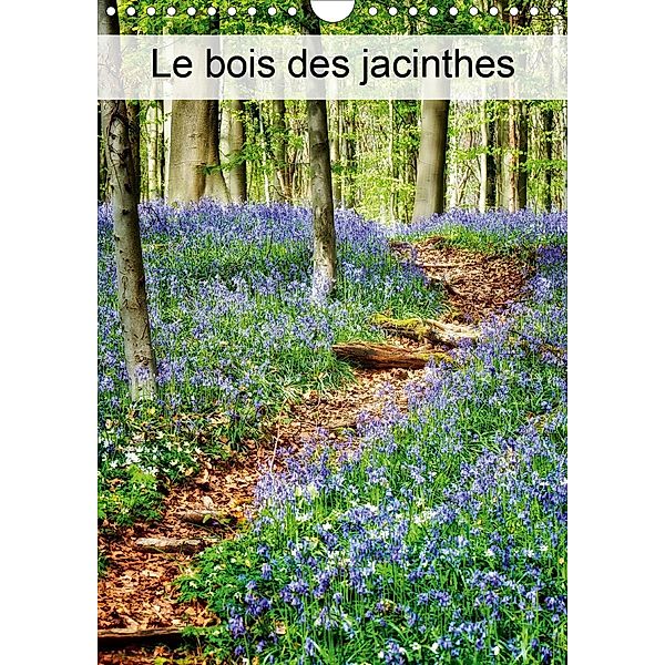 Le bois des Jacinthes (Calendrier mural 2021 DIN A4 vertical), Bombaert Patrick