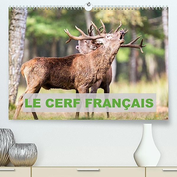 Le Cerf Français (Premium, hochwertiger DIN A2 Wandkalender 2023, Kunstdruck in Hochglanz), Bernasconi Edouard