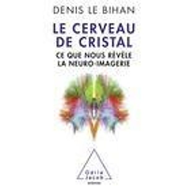 Le Cerveau de cristal, Le Bihan Denis Le Bihan