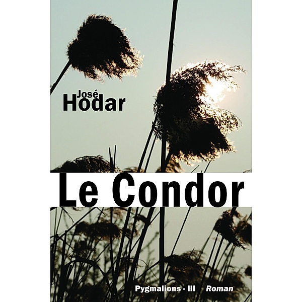 Le Condor, José Hodar