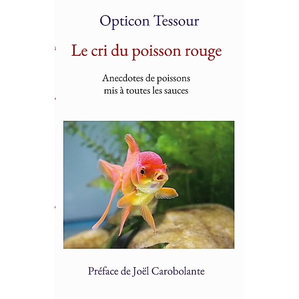 Le cri du poisson rouge, Opticon Tessour