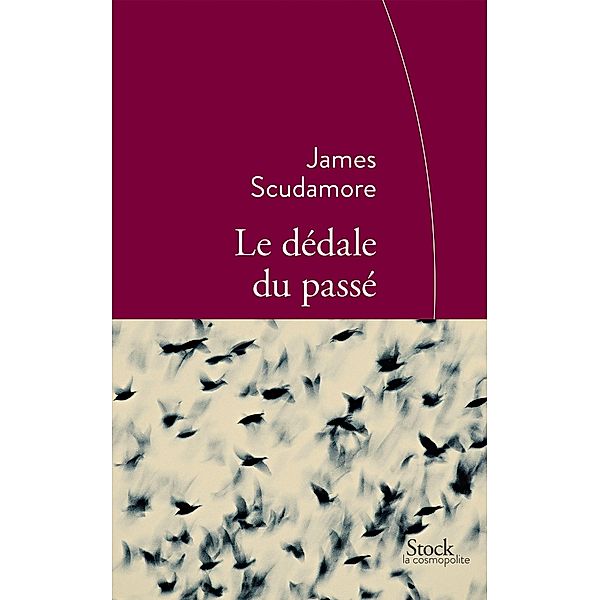Le dédale du passé / La cosmopolite, James Scudamore