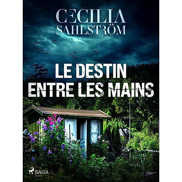 Le Destin entre les mains / Sara Vallén Bd.2, Cecilia Sahlström