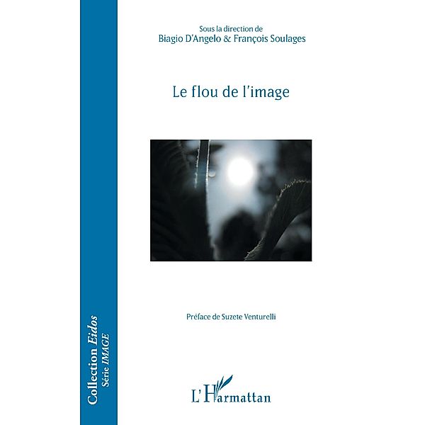 Le flou de l'image, Soulages Francois Soulages