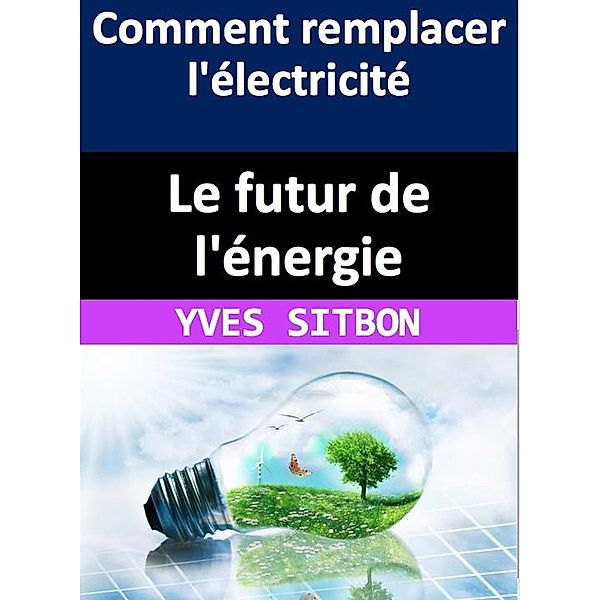Le futur de l'énergie : comment remplacer l'électricité, Yves Sitbon
