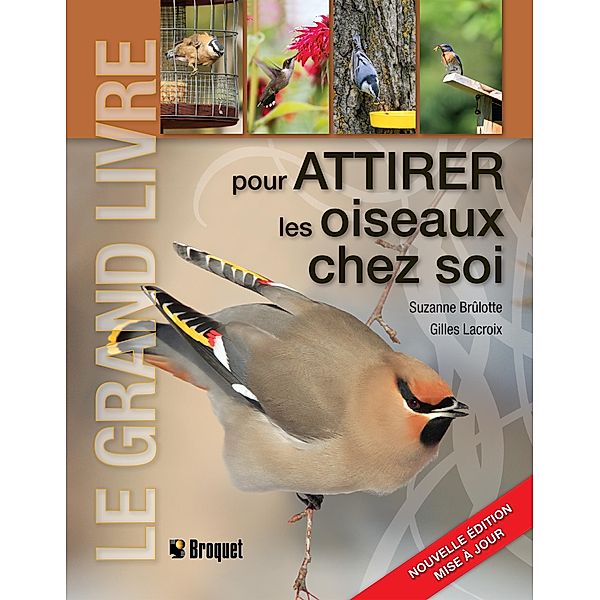 Le grand livre pour attirer les oiseaux chez soi, Brulotte Suzanne Brulotte, Lacroix Gilles Lacroix