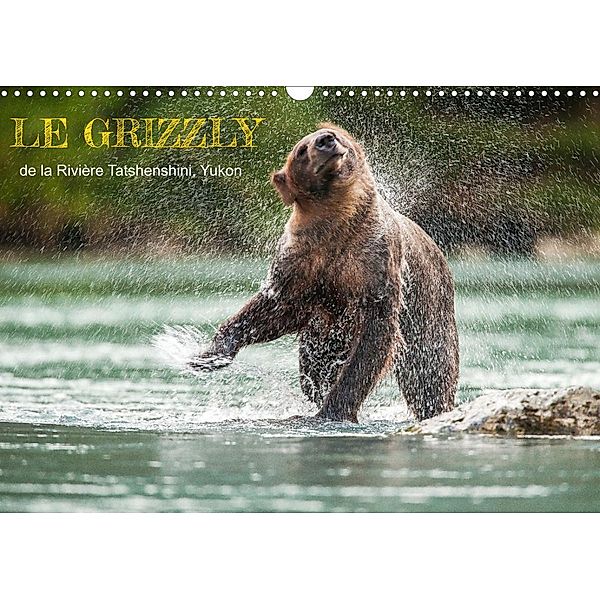 LE GRIZZLY de la Rivière Tatshenshini. Yukon (Calendrier mural 2023 DIN A3 horizontal), Philippe Henry