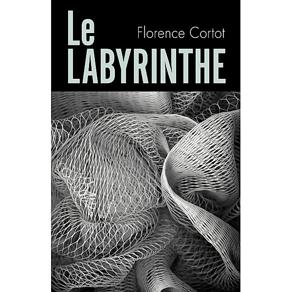 Le Labyrinthe / Librinova, Florence Cortot Florence