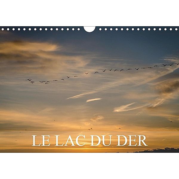 Le lac du Der (Calendrier mural 2021 DIN A4 horizontal), Alain Gaymard