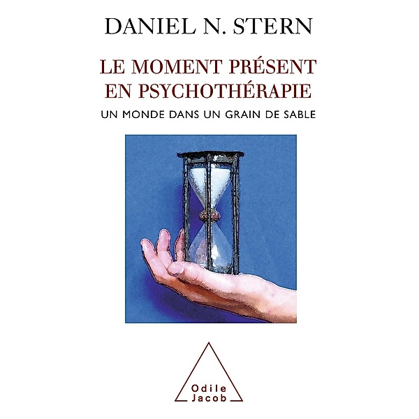 Le Moment present en psychotherapie, Stern Daniel N. Stern