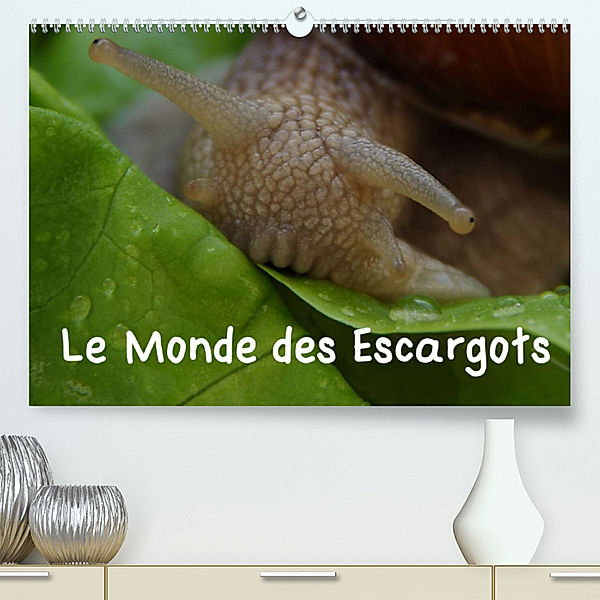 Le Monde des Escargots (Premium, hochwertiger DIN A2 Wandkalender 2023, Kunstdruck in Hochglanz), Elken Schlüfter