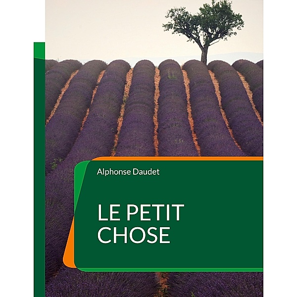 Le Petit Chose, Alphonse Daudet