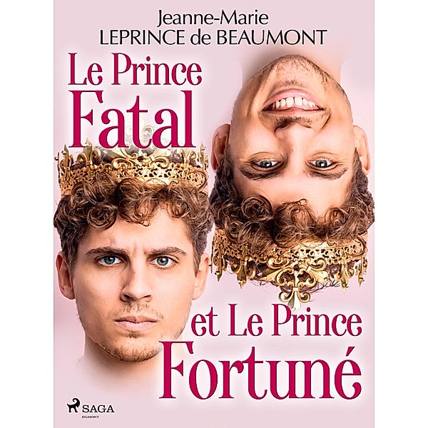 Le Prince Fatal et le Prince Fortuné, Madame Leprince De Beaumont