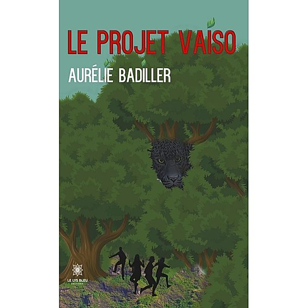 Le projet Vaiso, Aurélie Badiller