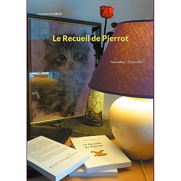 Le Recueil de Pierrot / L'Airain et le Zinzolin Bd.1/3, Damien Siobud