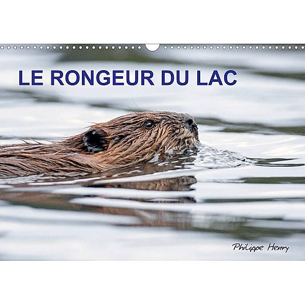 LE RONGEUR DU LAC (Calendrier mural 2023 DIN A3 horizontal), Philippe Henry