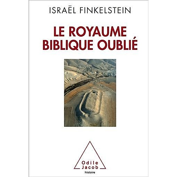 Le Royaume biblique oublié, Finkelstein Israel Finkelstein