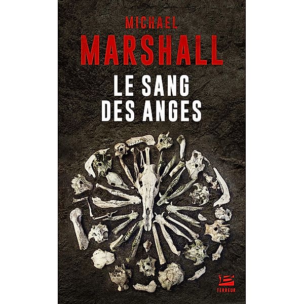 Le Sang des anges / Bragelonne Terreur, Michael Marshall