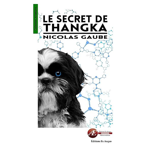 Le secret de Thangka, Nicolas Gaube