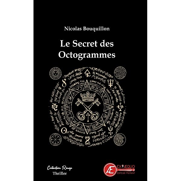 Le secret des octogrammes / les enquêtes de Pharaon Tarlais Bd.1, Nicolas Bouquillon