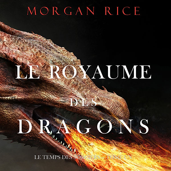 Le Temps des Sorciers - 1 - Le Royaume des Dragons (Le Temps des Sorciers — Tome Un), Morgan Rice