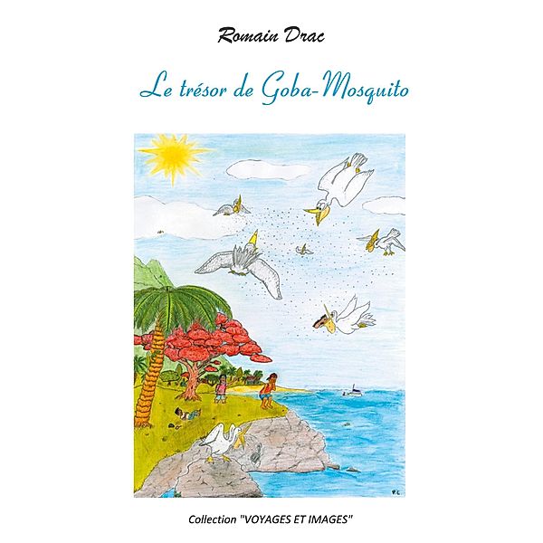 Le trésor de Goba-Mosquito / Voyages et Images Bd.1, Romain Drac