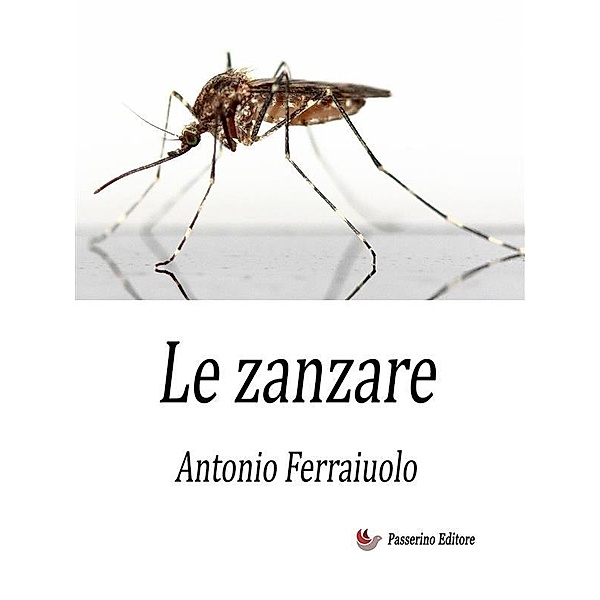 Le zanzare, Antonio Ferraiuolo