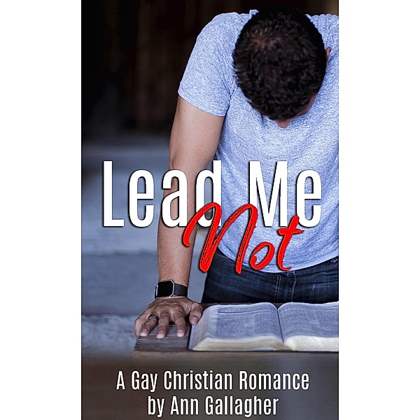 Lead Me Not: A Gay Christian Romance, Ann Gallagher
