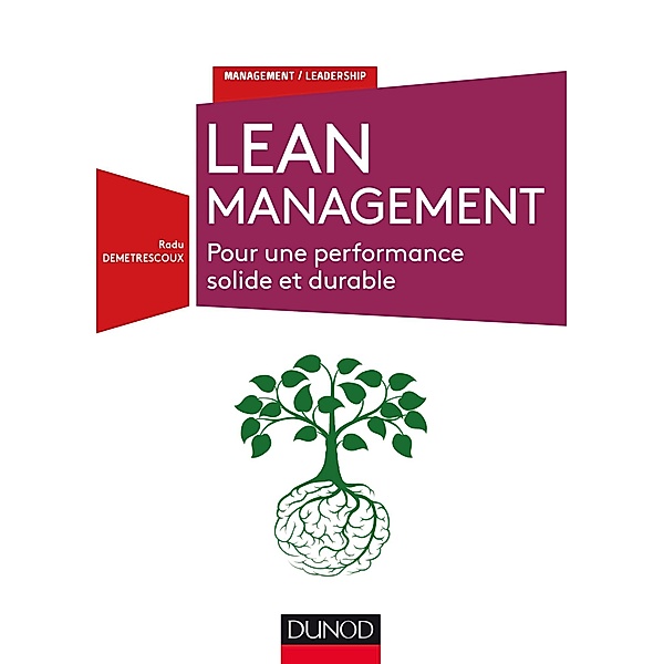 Lean Management / Management/Leadership, Radu Demetrescoux