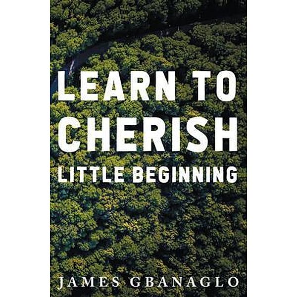 Learn To Cherish Little Beginning / Authors Press, James Gbanaglo