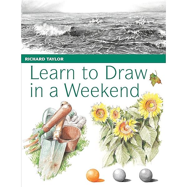 Learn to Draw in a Weekend / David & Charles, Richard Taylor