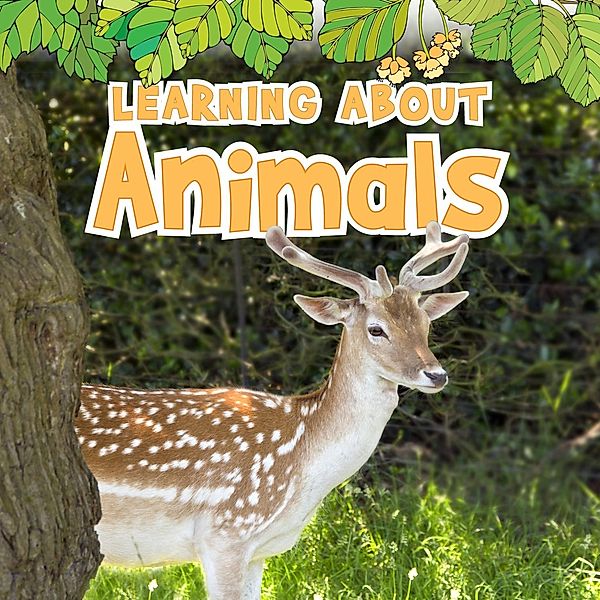 Learning About Animals / Raintree Publishers, Catherine veitch