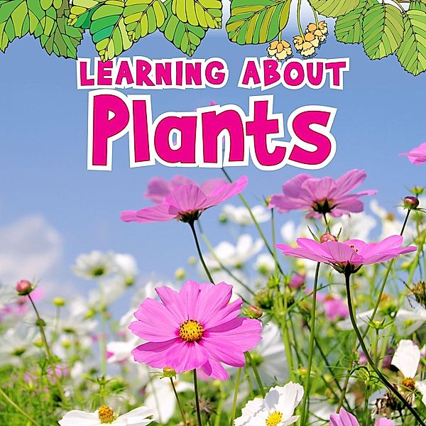 Learning About Plants / Raintree Publishers, Catherine veitch