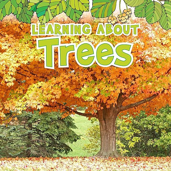 Learning About Trees / Raintree Publishers, Catherine veitch