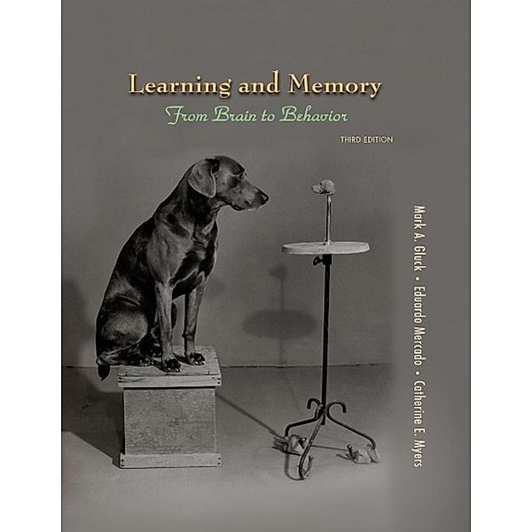 Learning and Memory, Mark A. Gluck, Eduardo Mercado, Catherine E. Myers