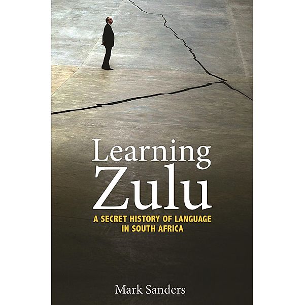 Learning Zulu / Translation/Transnation, Mark Sanders