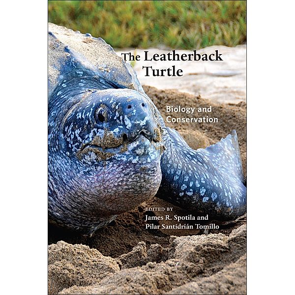 Leatherback Turtle