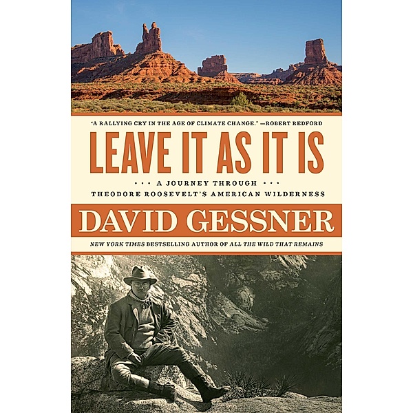 Leave It As It Is, David Gessner