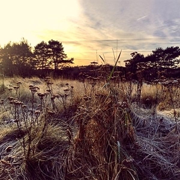 Leave Me Breathless, Ane Brun