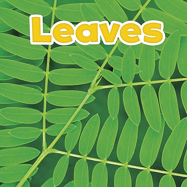 Leaves / Raintree Publishers, Marissa Kirkman