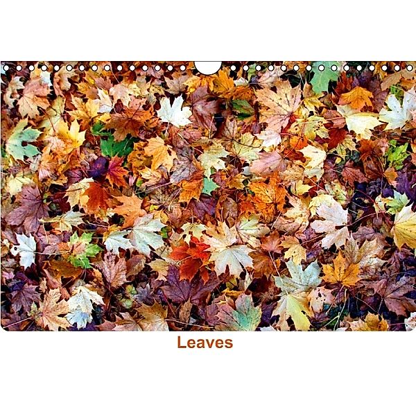 Leaves (Wandkalender 2014 DIN A4 quer), Anne Seltmann