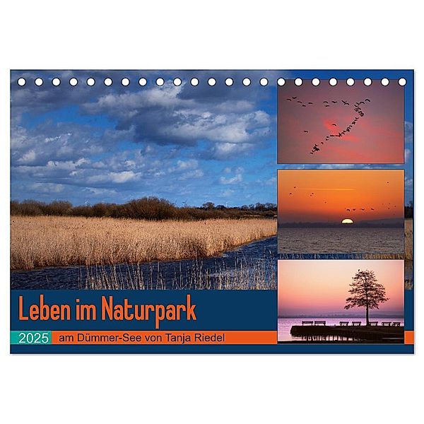 Leben am Naturpark um den Dümmer See (Tischkalender 2025 DIN A5 quer), CALVENDO Monatskalender, Calvendo, Tanja Riedel